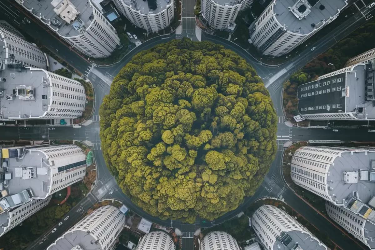 Cover image for Miyawaki Method Mini Forest: Complete 2026 Guide
