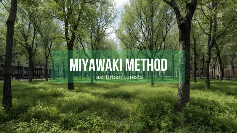 Logo for Miyawaki Method Practitioners, a reforestation platform creating dense, fast-growing urban forests in small city spaces.