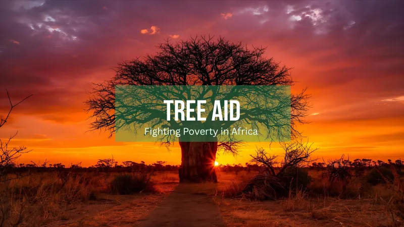 Logo for Tree Aid, a reforestation platform fighting poverty in Africa's drylands by planting fruit and nut trees.
